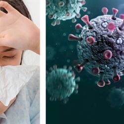 La supergripe H3N2 llega a México; confirman primer caso en el país