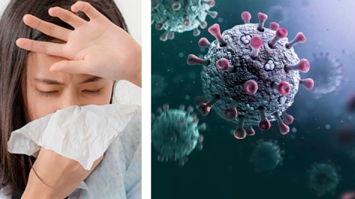 La supergripe H3N2 llega a México; confirman primer caso en el país