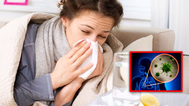 Temporada de frío 2025: no es lo mismo resfriado que influenza; estas son las claves que debes vigilar