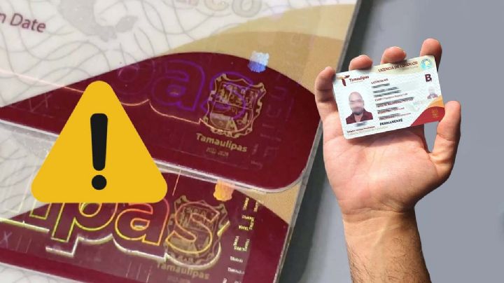 ¿Licencia de conducir de Tamaulipas ya no será permanente?; esto tendrás que hacer