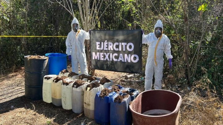 Gabinete de Seguridad pega golpe millonario a la delincuencia organizada; realiza decomisos en 8 estados