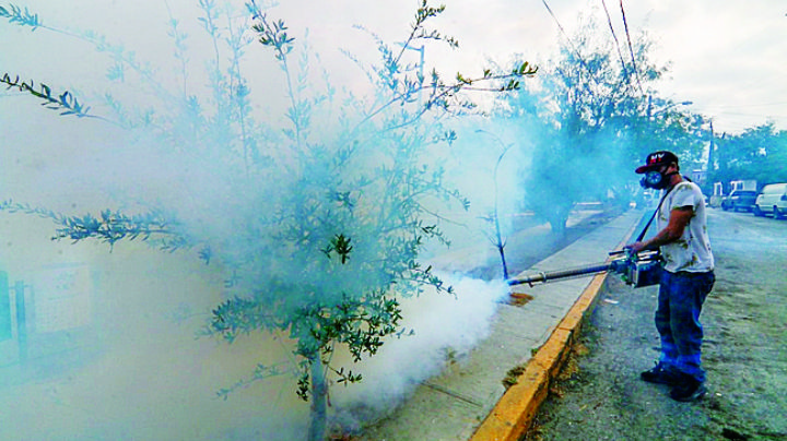 Registran dos casos de dengue en Nuevo Laredo; ambos son jóvenes