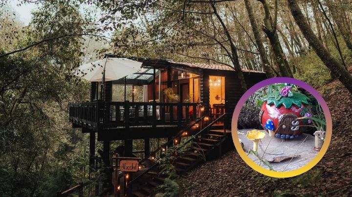 El bosque de las hadas: el lugar mágico que parece sacado de un cuento y está a 40 minutos de Tampico