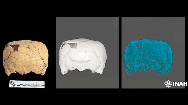 Hallan cráneo cuadrado en Tamaulipas; antropólogos aún no tienen una explicación del hallazgo
