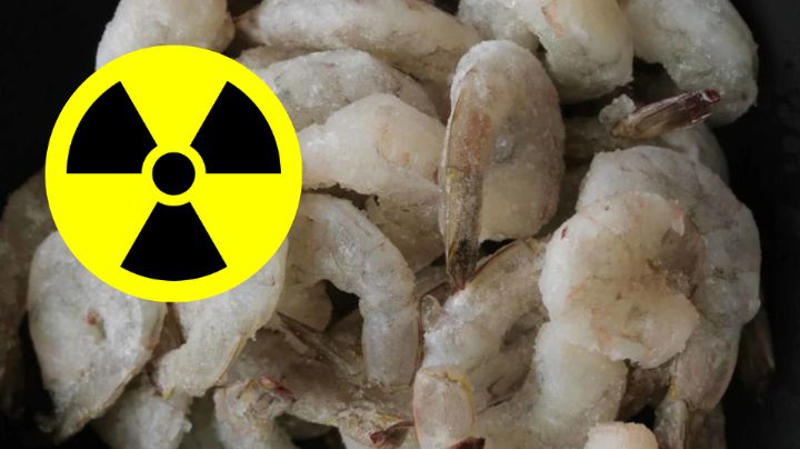 ¿Compraste camarón de estas marcas?; FDA advierte de contaminación radioactiva