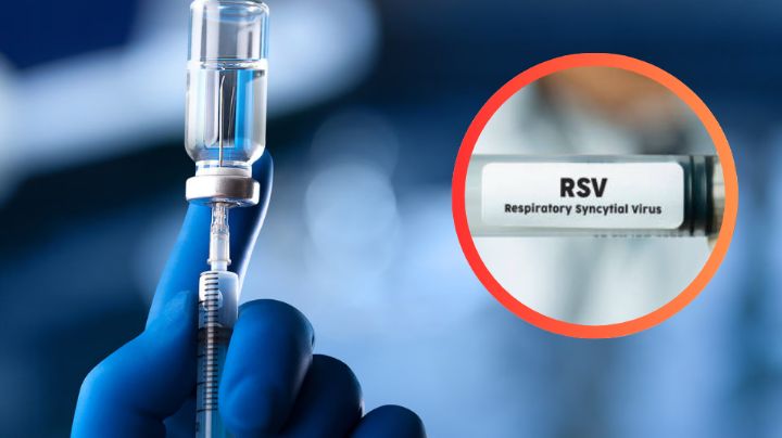 ¿Cuándo llegará la vacuna contra VSR a México?; Secretaría de Salud aclara el estatus