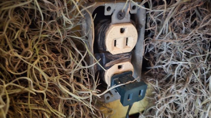 Secretaría de Salud alerta por riesgos viales y domésticos en Navidad; emite recomendaciones