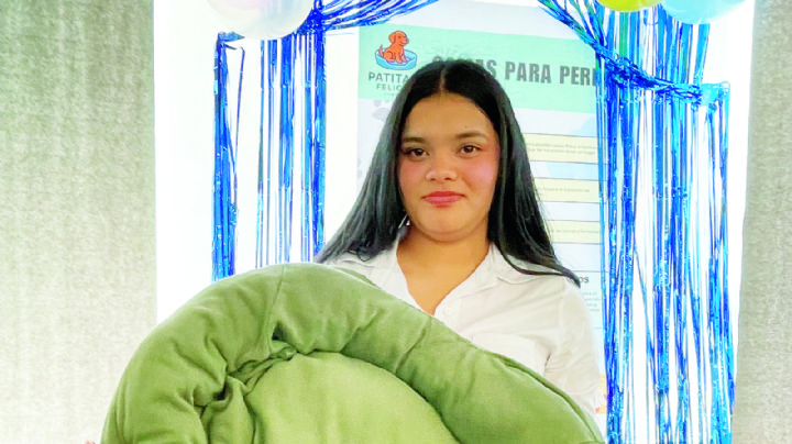 Alumnas del Tecmilenio en Nuevo Laredo reciclan y crean casas para perros