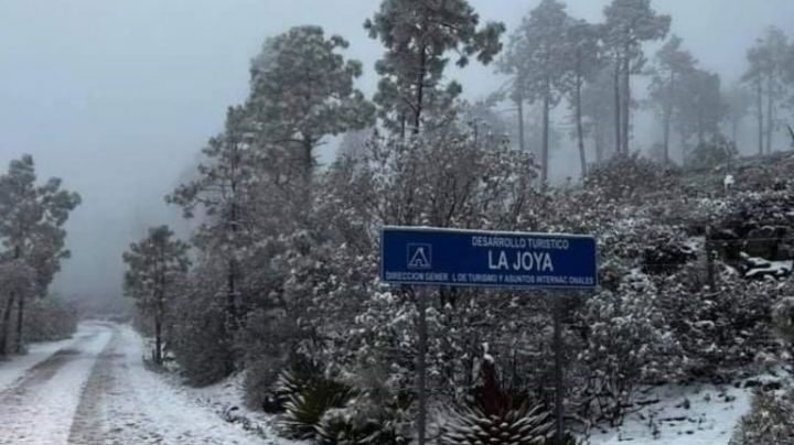 Año Nuevo helado: frente frío y río atmosférico provocarán lluvias y nevadas en el norte de México