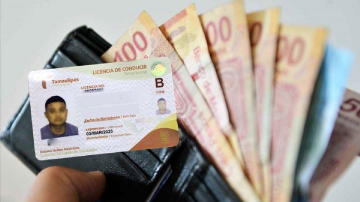Licencia de conducir en Tamaulipas: habría documento más 'barato' y ciudadano eligiría
