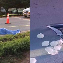 Abuelito sale a comprar tortillas y ya no regresó; murió atropellado por cafre