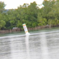Embarcaciones de EU colocan boyas en el Río Bravo, cerca de Playa Bagdad; Conibio se moviliza