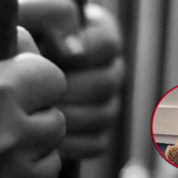 Joven metió la cabeza entre las rejas de su ventana y murió asfixiada; sus familiares no se dieron cuenta