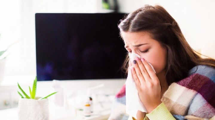 Técnica de la cebolla: esto podrías hacer para soportar el frío extremo este invierno