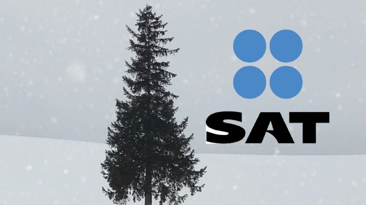 SAT 2025: ¿las oficinas cerrarán en diciembre por periodo vacacional?