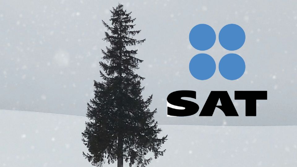 SAT: ¿habrá citas en diciembre o cerrarán por vacaciones?