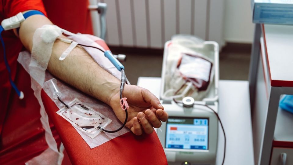 Batalla de las Placas vuelve a Laredo