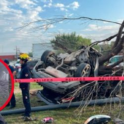 Carrera mortal: conductor muere aplastado contra un árbol; iba 'cómo alma que lleva el diablo'
