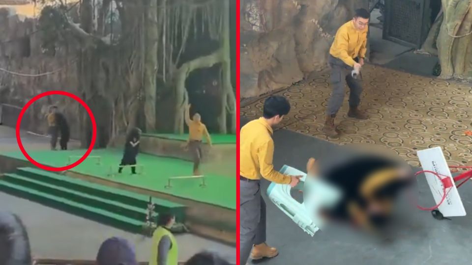 El oso, identificado como Xiong Er, atacó de forma repentina al cuidador, lo que obligó a la intervención inmediata del personal del parque