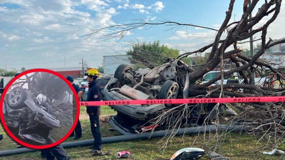El golpe provocó que el vehículo volcara y terminara estampándose contra un árbol, el cual fue arrancado de raíz