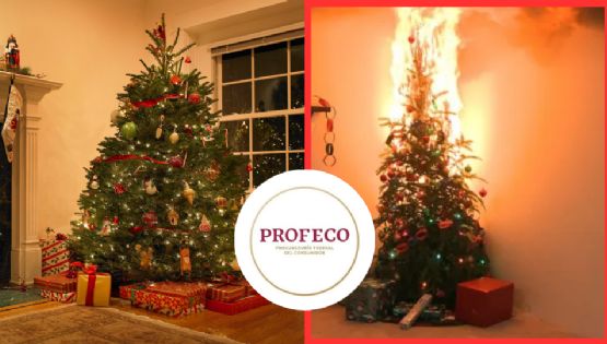 Profeco advierte riesgos por luces y árboles navideños: así evitarás incendios en casa