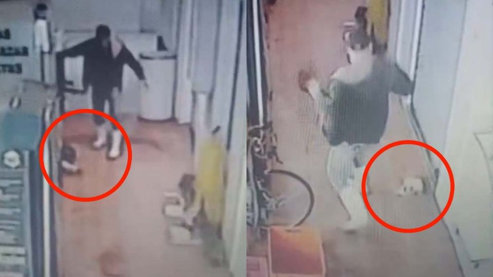 El video ha generado miles de comentarios