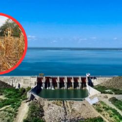 Tras pagos a Estados Unidos, Tamaulipas recibirá agua de El Cuchillo para salvar ciclo agrícola