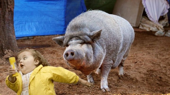 Texas: repartidora se encuentra con animal gigante en la entrada de una casa; 'escuché algo gruñir'