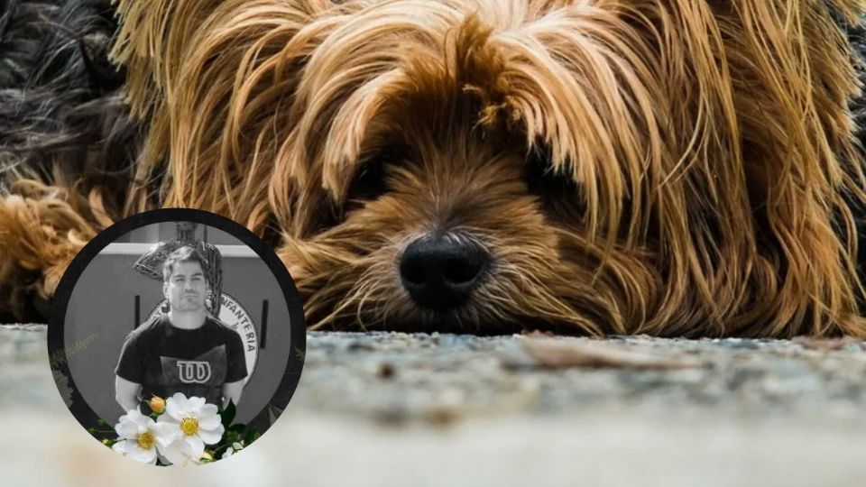 El hombre fue atacado por no lograr salvarle la vida a una perrita