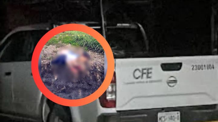 Asesinan a cuatro empleados de la CFE; los encontraron en la frontera entre Veracruz y Oaxaca