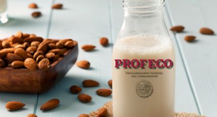 Profeco: leche de almendras que en realidad no lo es; advierte sobre estas marcas