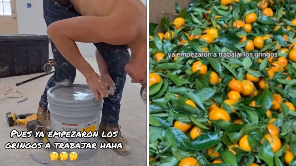 En videos difundidos en redes sociales se muestra la incapacidad de los norteamericanos para desempeñar trabajos