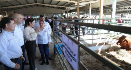 Carmen Lilia Canturosas impulsa el programa 'Mejoramiento Ganadero NLD' en Nuevo Laredo