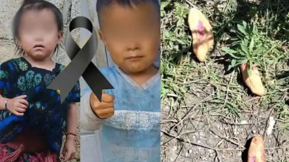 Los menores recibieron ayuda con remedios caseros pero no lograron ser salvados