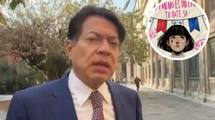 'No hay pruebas de que Fátima haya sido arrojada de un tercer piso': Mario Delgado