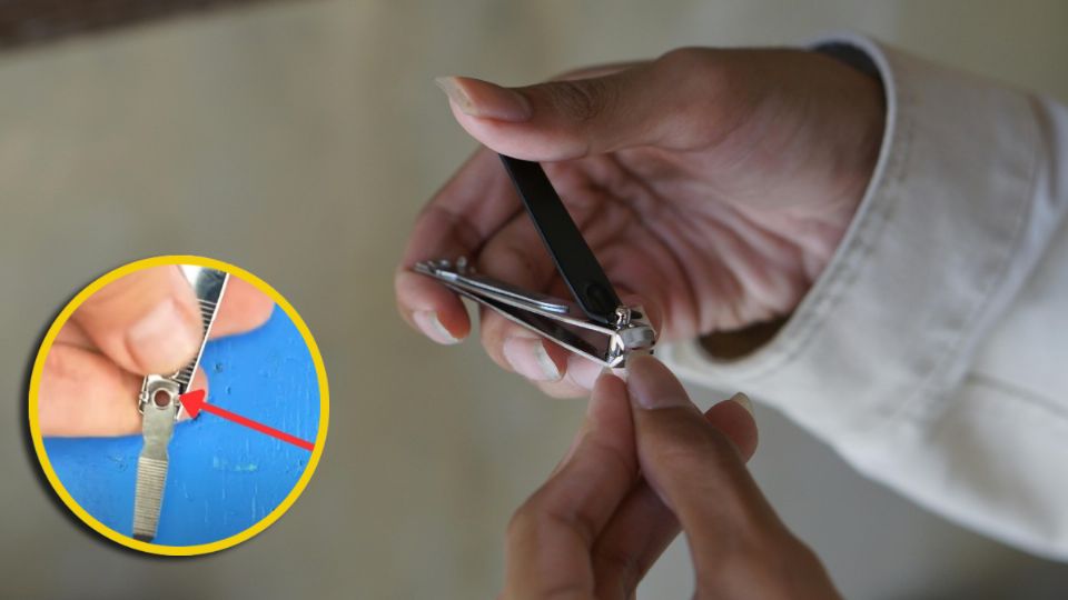 El hoyo del cortaúñas es un claro ejemplo de cómo los pequeños detalles en el diseño de los objetos cotidianos pueden marcar una gran diferencia