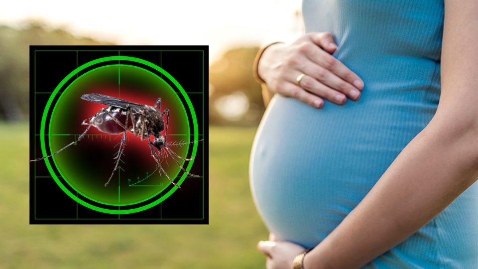 ZIka causa tragedia en Tampico.