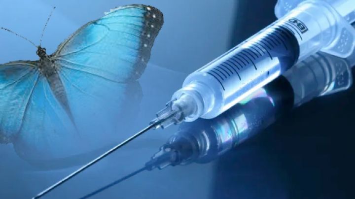Adolescente se inyecta restos de mariposa en las venas y muere; quería ser popular en internet