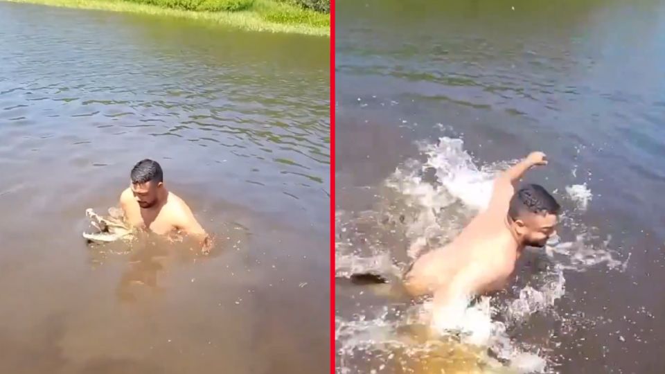 El hombre se sumergió en el agua, pensando capturar un inofensivo pez y no al tremendo depredador que podría haberlo matado