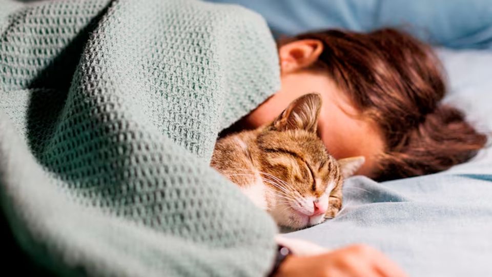 ¿Hay beneficios al dormir con tu 'michi'?