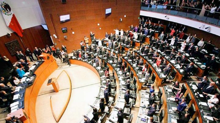 Aprueba Senado de la República, en lo general, reforma contra el nepotismo