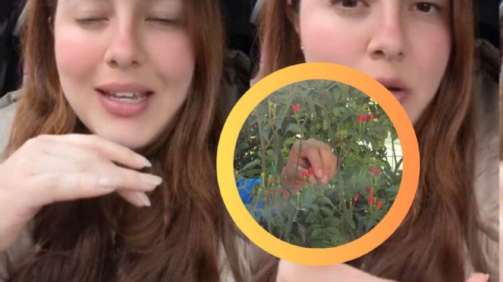 'Ya estaba harta': niña mexicana se defiende del bullying con chile piquín; ¿qué hizo? | VIDEO