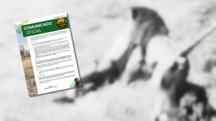 Zoológico de Tamaulipas se pronuncia tras la tragedia; león mató a su cuidador