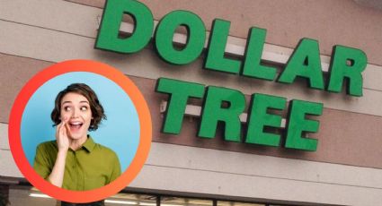 Dollar Tree: ¿por qué estas tazas de 1.25 dólares son un éxito rotundo?; 'vuelan' de los estantes