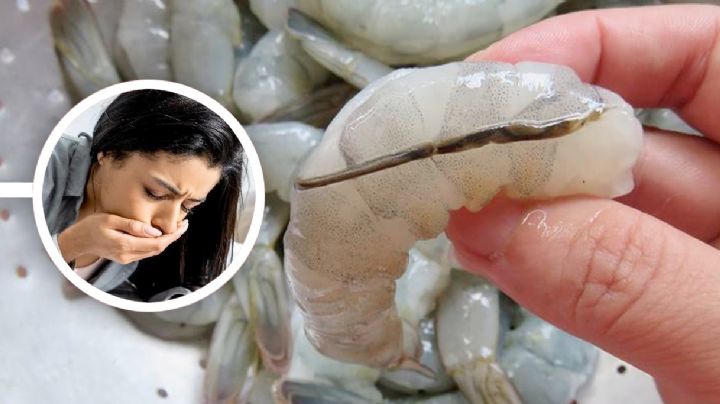 Conoce la verdad oculta de la 'vena negra' de los camarones; esto te pasa si la comes