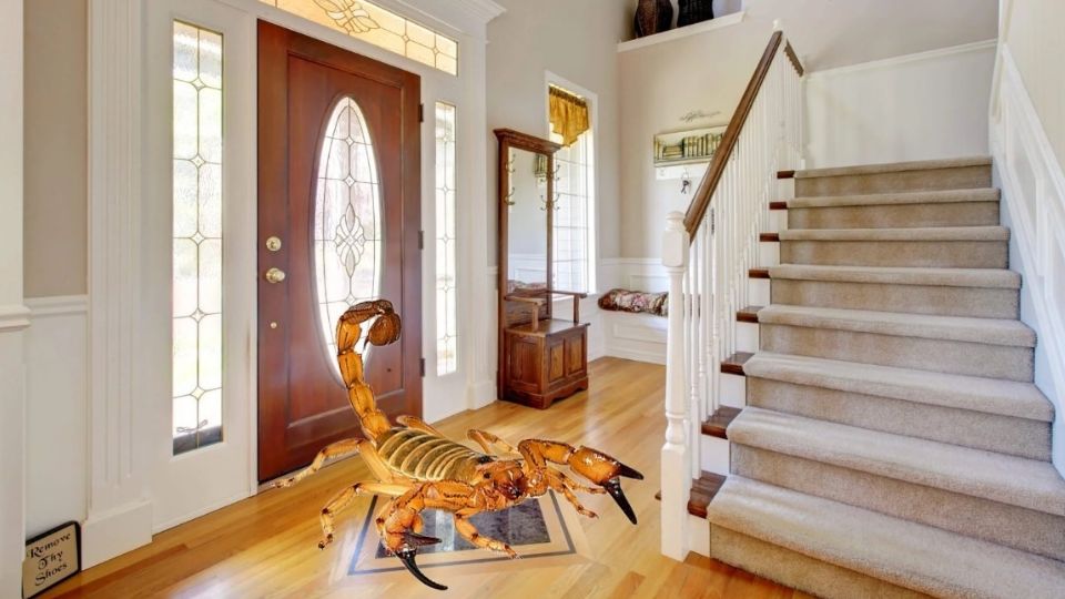 ¡Cuidado con los alacranes!