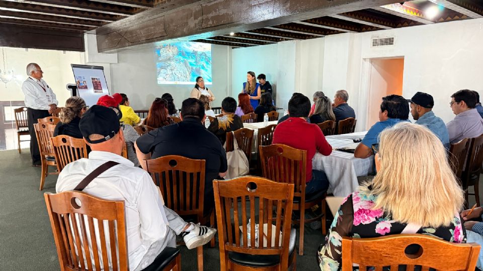 Asiste a las tutorías.