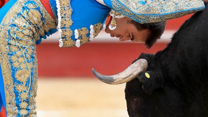 Así serán las nuevas corridas de toros: nada de violencia ni maltrato animal