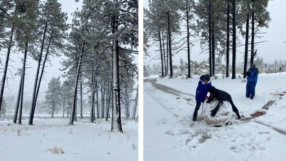 Intensas nevadas se presentaron este día.