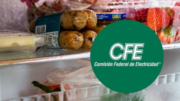 CFE:  así puedes mantener los alimentos frescos durante cortes de energía; no se echarán a perder